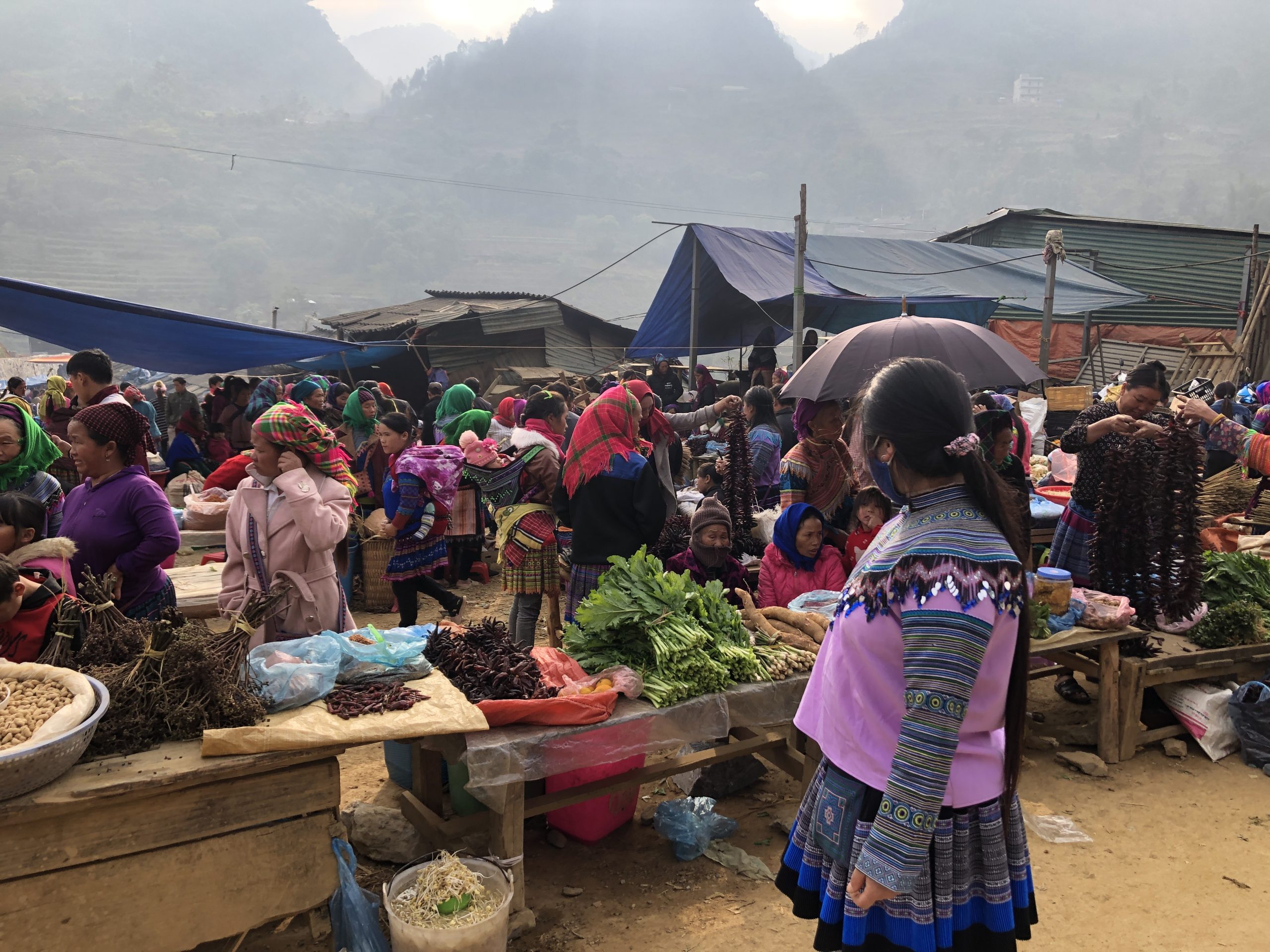 Vietnam's Ha Giang Hoang Su Phi Cycling Challenge Route 10 Days